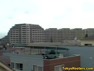 调皮 毛茸茸 猫 大 瓜 亚洲人