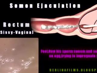 Trans aanatomy(some tipo di sissy-trainer)