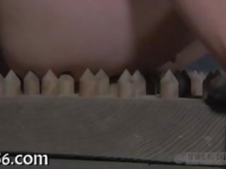 フェイシャル 拷問 のために swell プレイガール