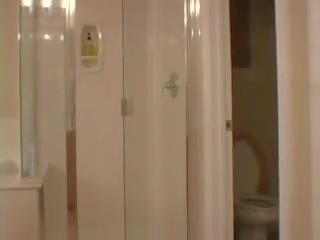 Addison růže