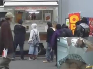 朋友 演习 日本语 小鸡