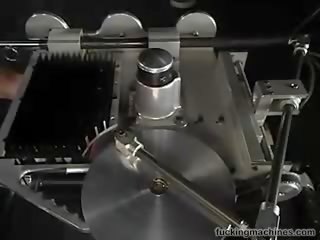 Randi predatordp 4