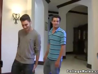 Terrific розпусна жіноча організація сестри