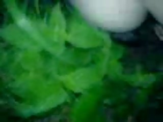 Ines উপর বেলজিয়ান পার্টি