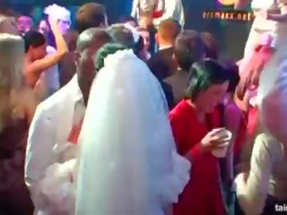 Smashing libidinous brides suck big cocks in public