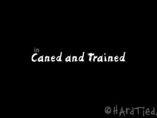 Очеретом і trained