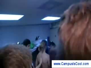 学生们 业余 模型 兄弟会 strumpet 车型 性交 他妈的 狗 学院 dormatory 业余 学院 lassie 大学
