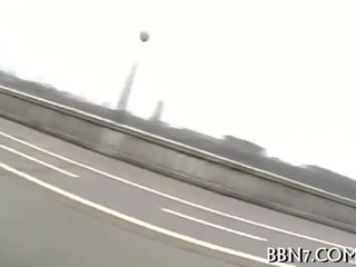 Міцний скаче з impressive жеребець