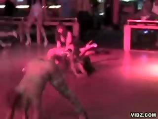 Assembly 的 野 黑色 若虫 办 迷人 电影
