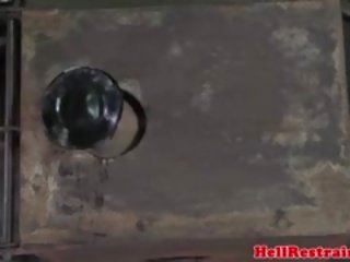 Hog завързан покорен налагани с пръчки от черни дом