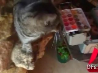 Статевий член задоволений по a незаймана