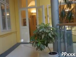 Quickie пропозиція для sedusive краля