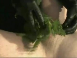 Раб отримує брудна яйця stroked по школярка з nettles