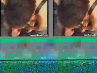 东方的 同性恋者 性别 视频