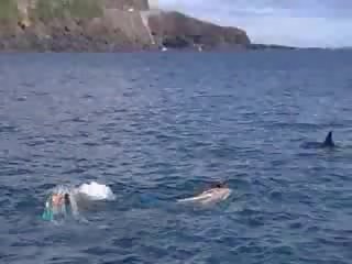 Ххх видео под води клипс