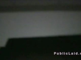 Угорська відстій великий дзьоб в публічний