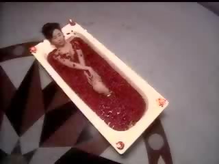完美 亚洲人 宠儿